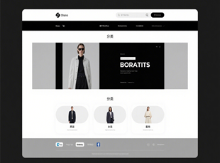  Website Design